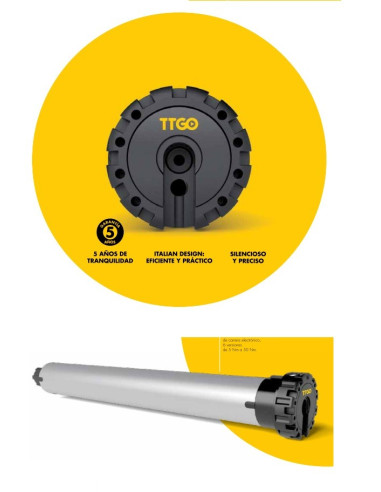 MOTORES  TTGO