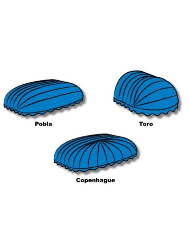 CAPOTES