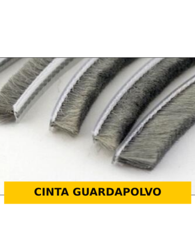 CINTA GUARDAPOLVO