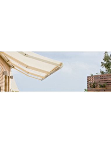 TOLDO COFRE STORBOX250